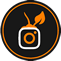 CitySpotz-Social-Grow-Icon-25